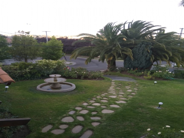 WhatsApp Image 2019-02-21 at 20.52.21.jpeg